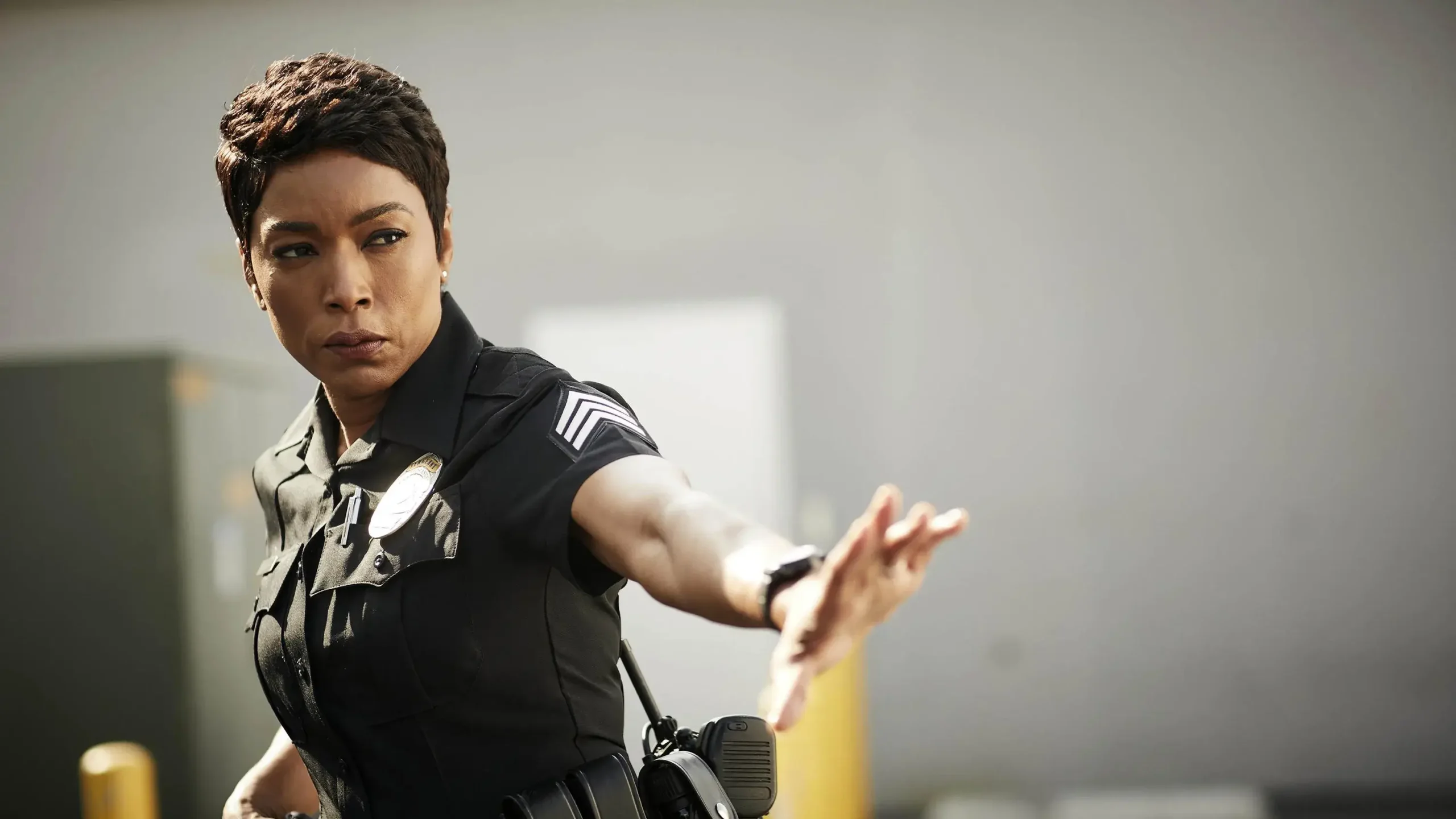 Angela Bassett Movies And TV Shows (1)