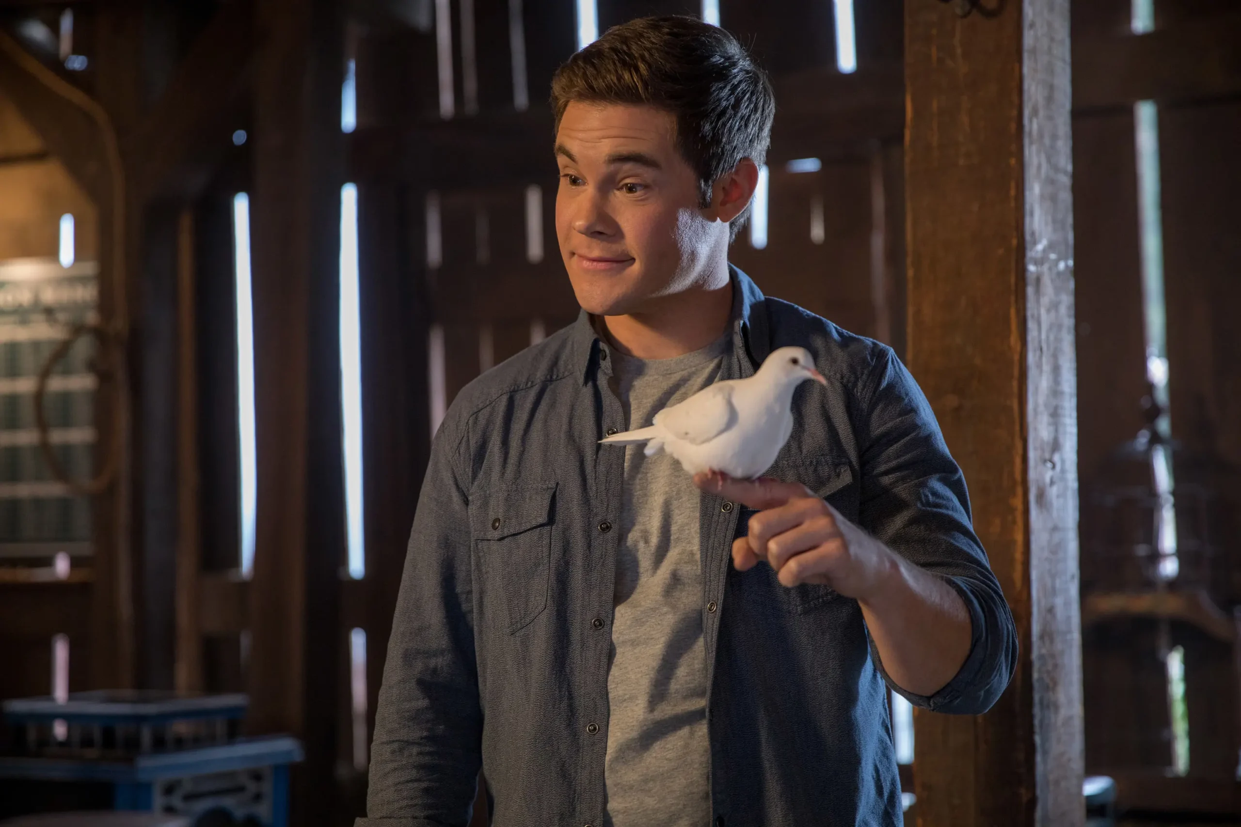 Movies and TV Shows By Adam Devine 1 Movies and TV Shows By Adam Devine