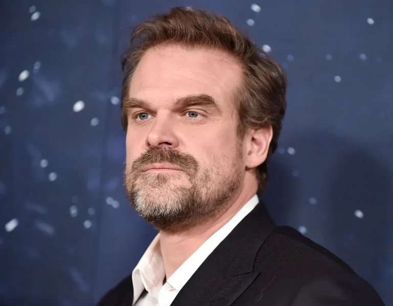 David Harbour Movies And TV Shows 10 David Harbour Movies And TV Shows (1)