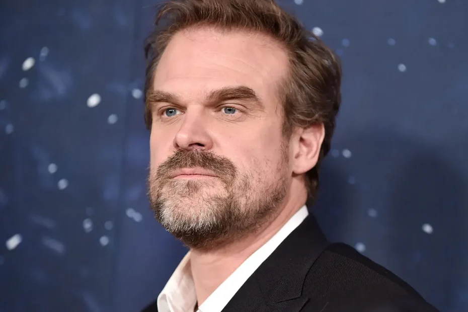 David Harbour Movies And TV Shows (1)