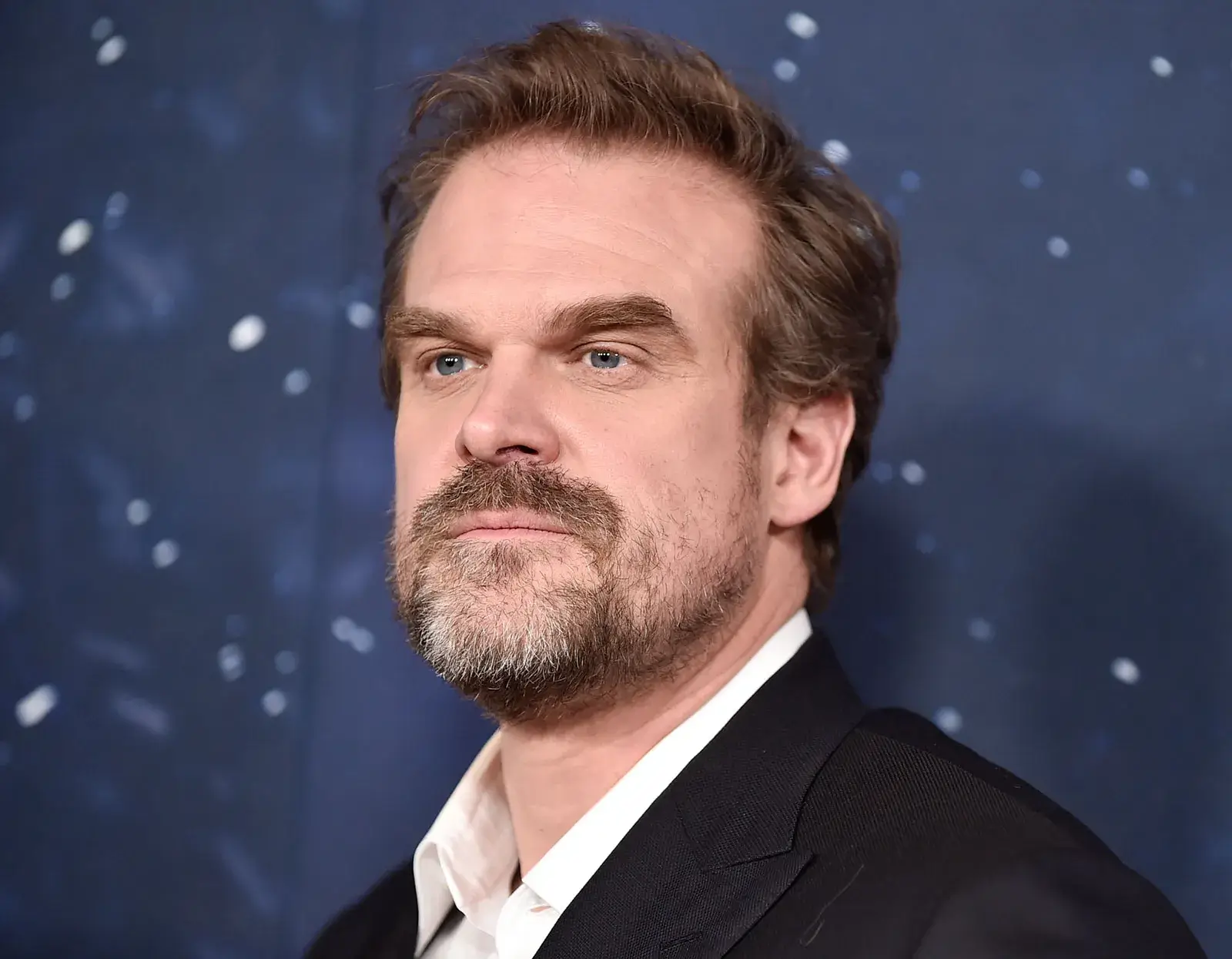 David Harbour Movies And TV Shows (1)